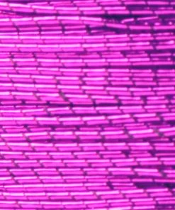 ProWrap Metallic Rod Winding Thread - Size A (100 Yds) Supplies 60 ProWrap Metallic Rod Winding Thread - Size A (100 Yds) Supplies