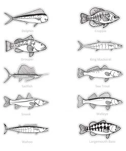 Mud Hole Supplies Black & White Gamefish Bumper Stickers