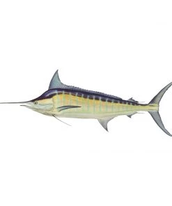 Mud Hole 8" Gamefish Boat & Truck Window Stickers 71 Mud Hole 8