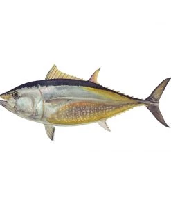 Mud Hole Truck Decals & Stickers 12