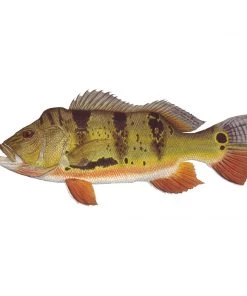 Mud Hole 8" Gamefish Boat & Truck Window Stickers 79 Mud Hole 8