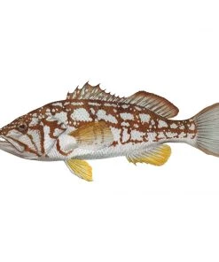 Mud Hole 8" Gamefish Boat & Truck Window Stickers 80 Mud Hole 8