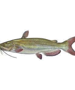 Mud Hole 8" Gamefish Boat & Truck Window Stickers 82 Mud Hole 8