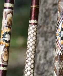 Mud Hole Sea Snake Skins