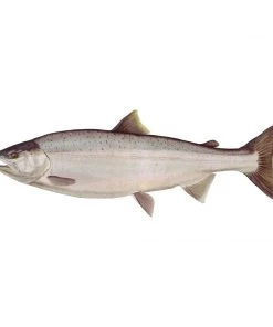 Mud Hole 8" Gamefish Boat & Truck Window Stickers 86 Mud Hole 8