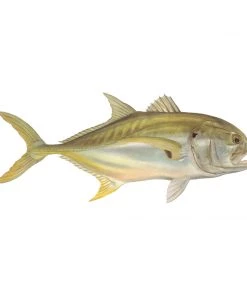 Mud Hole 8" Gamefish Boat & Truck Window Stickers 87 Mud Hole 8