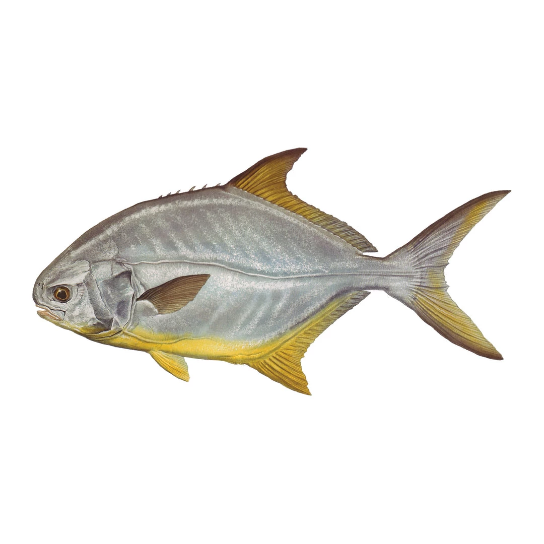 Mud Hole 8" Gamefish Boat & Truck Window Stickers 31 Mud Hole 8" Gamefish Boat & Truck Window Stickers