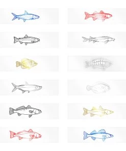 CRB Monochrome Gamefish Rod Decals - Freshwater & Inshore