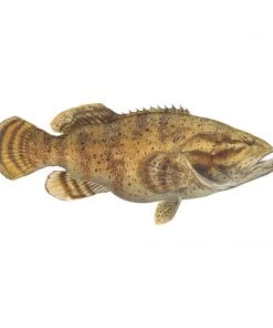 Mud Hole 8" Gamefish Boat & Truck Window Stickers 92 Mud Hole 8