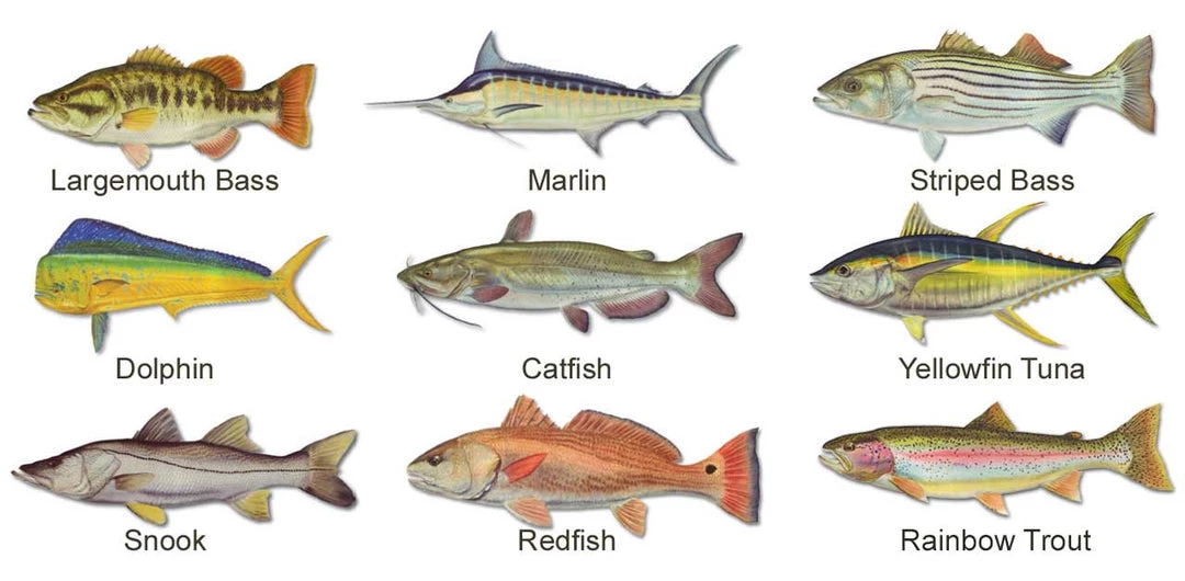 Mud Hole Gear Long-Sleeve Mesh Performance Tee: Life Ring With Crossing Rods 5 Mud Hole Gear Long-Sleeve Mesh Performance Tee: Life Ring With Crossing Rods