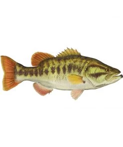 Mud Hole 8" Gamefish Boat & Truck Window Stickers 98 Mud Hole 8