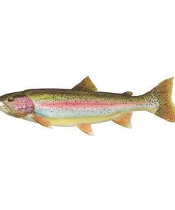 Mud Hole 8" Gamefish Boat & Truck Window Stickers 102 Mud Hole 8