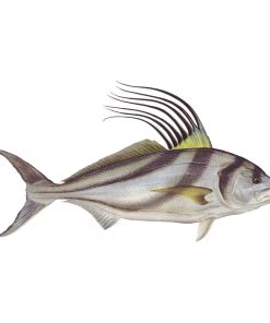 Mud Hole 8" Gamefish Boat & Truck Window Stickers 106 Mud Hole 8