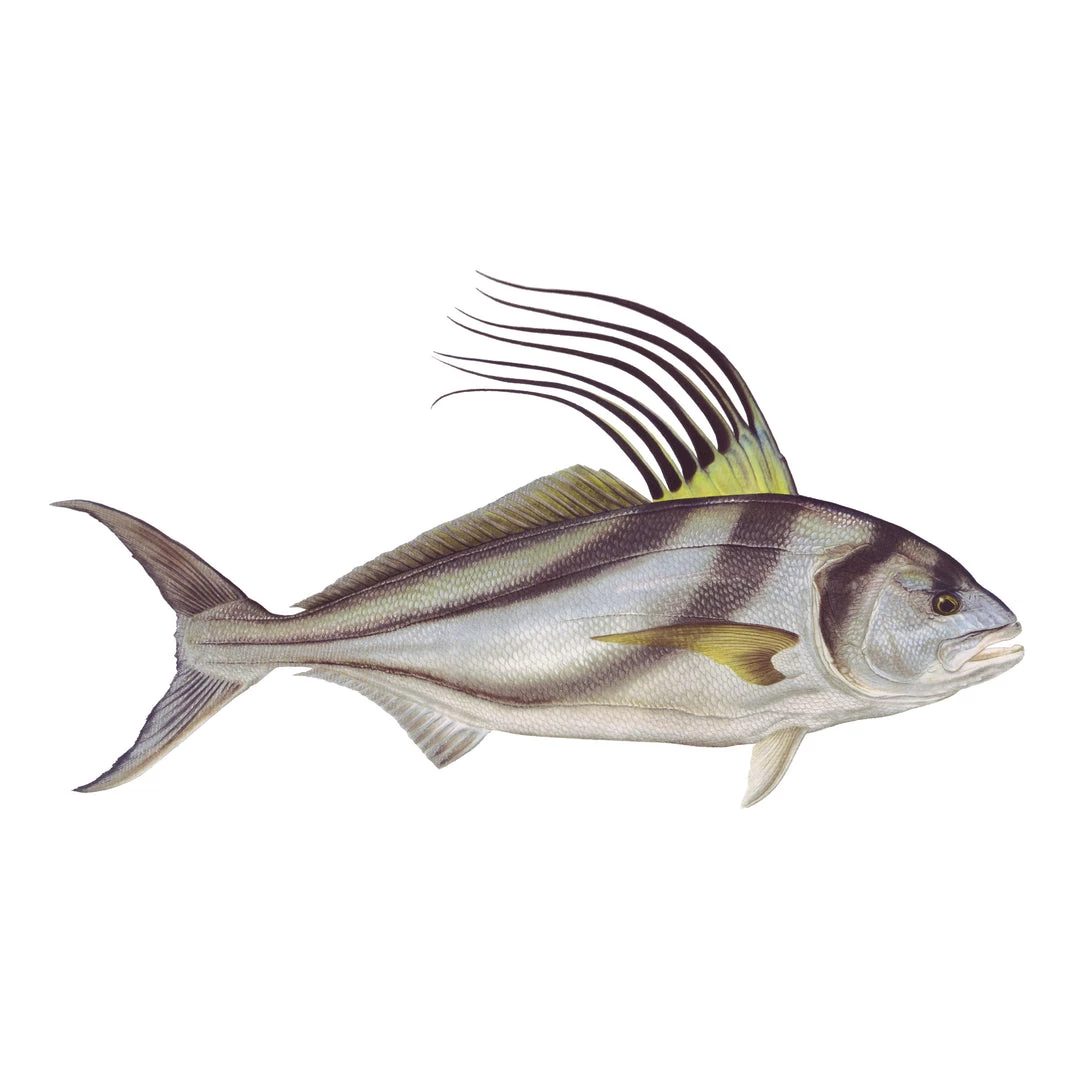 Mud Hole 8" Gamefish Boat & Truck Window Stickers 47 Mud Hole 8" Gamefish Boat & Truck Window Stickers