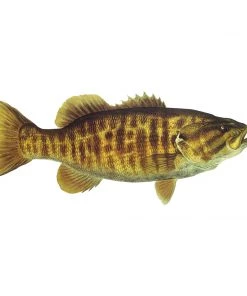 Mud Hole 8" Gamefish Boat & Truck Window Stickers 109 Mud Hole 8