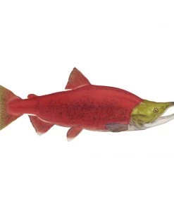 Mud Hole 8" Gamefish Boat & Truck Window Stickers 111 Mud Hole 8