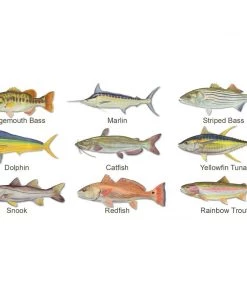 Mud Hole Gear Custom T-Shirt: Bamboo Frame With Crossing Rods