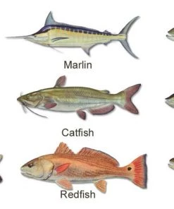 Mud Hole Women's Custom T-Shirt: Bamboo Frame With Crossing Rods Gear