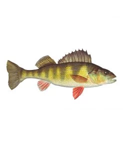 Mud Hole 8" Gamefish Boat & Truck Window Stickers 119 Mud Hole 8