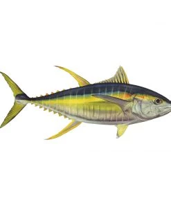 Mud Hole 8" Gamefish Boat & Truck Window Stickers 120 Mud Hole 8