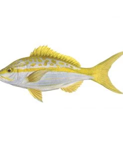 Mud Hole Truck Decals & Stickers 12