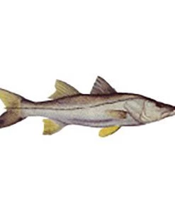 CRB Gamefish Rod Decals