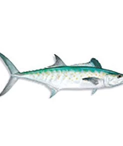 CRB Gamefish Rod Decals